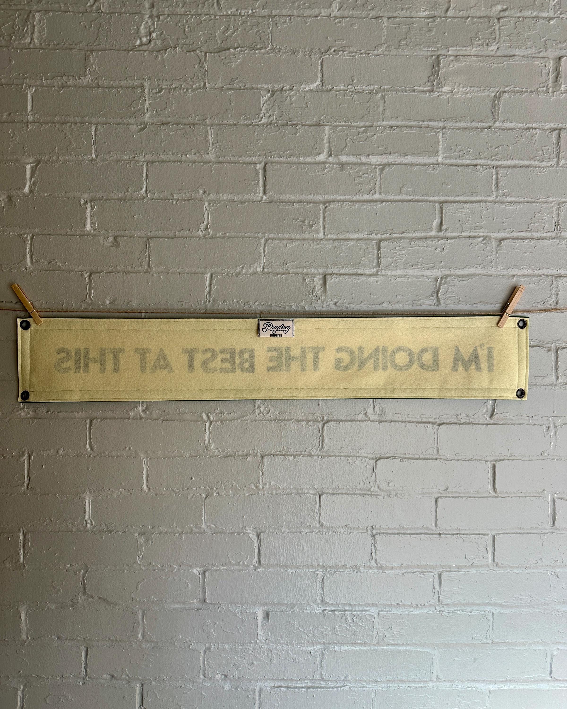 Back of a cream banner with green trim and lettering that reads "I'm doing the best at this"