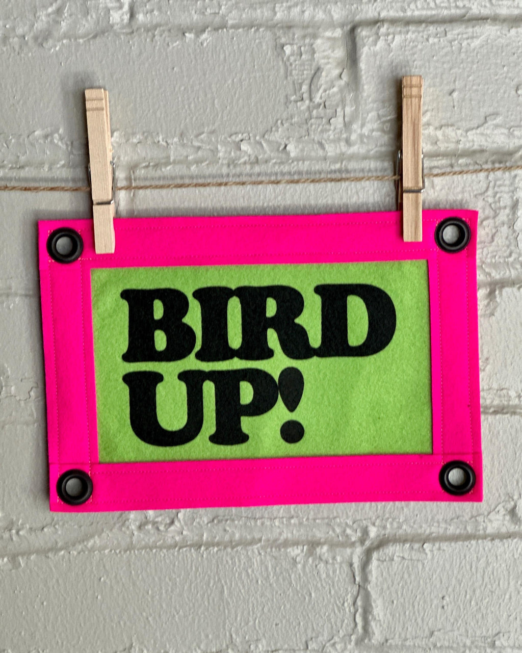 Felt banner with 'Bird Up!' text on green base with pink trim, hanging from a brick wall with clothespins.