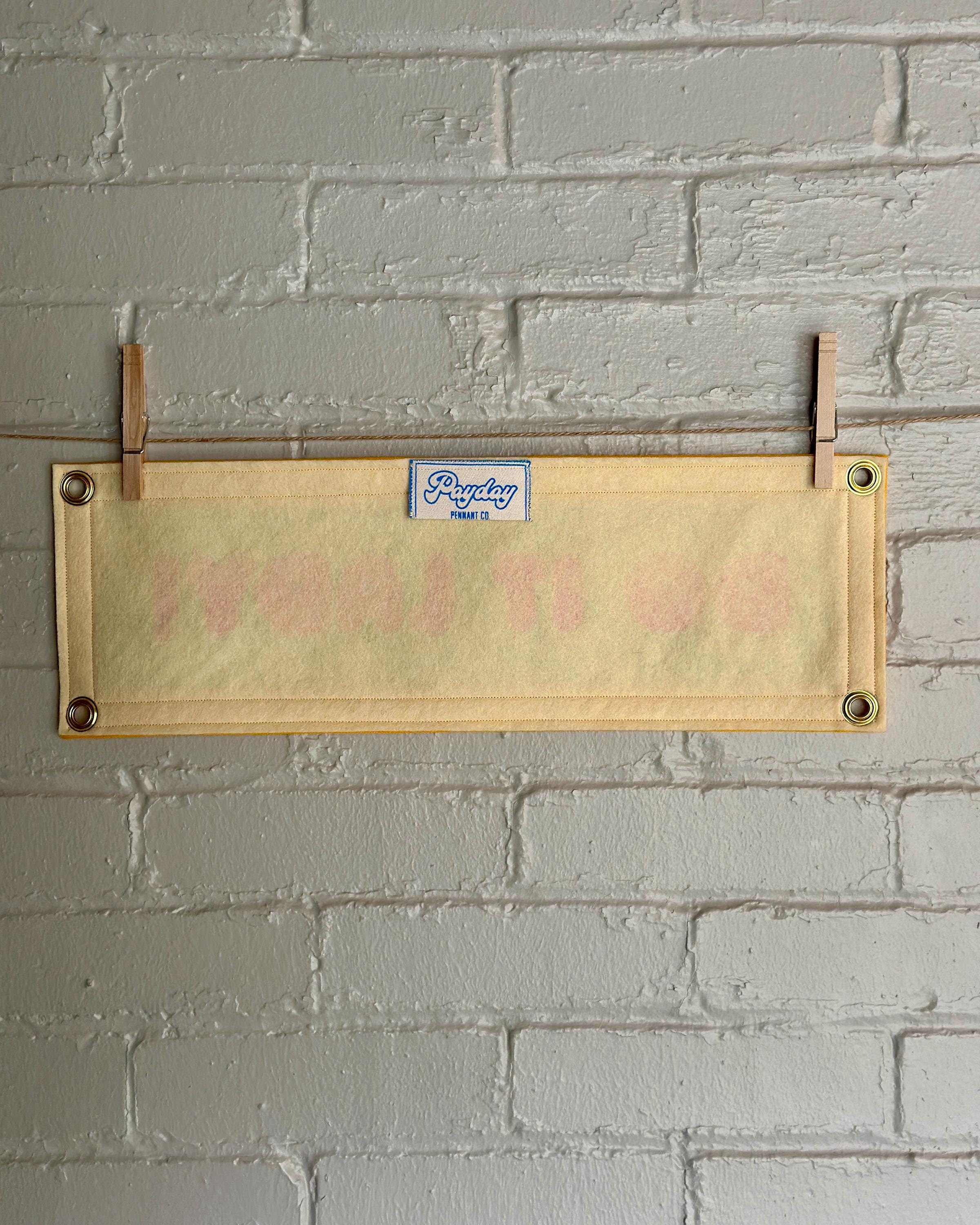 Back of a cream felt banner with yellow trim and pink lettering that reads "Do it lady!"