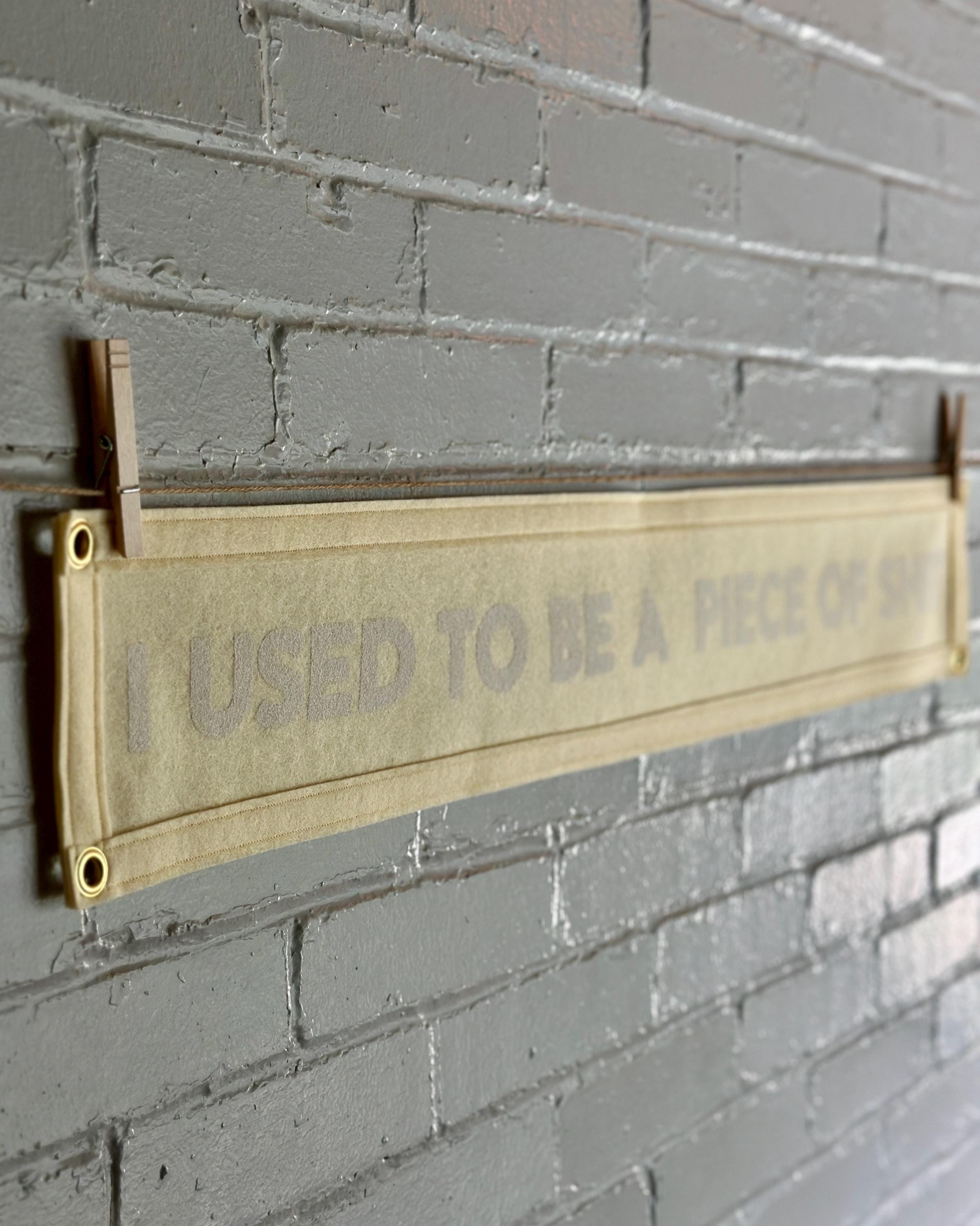 Side view of a cream banner with cream trim and white lettering that reads "I used to be a piece of shit"
