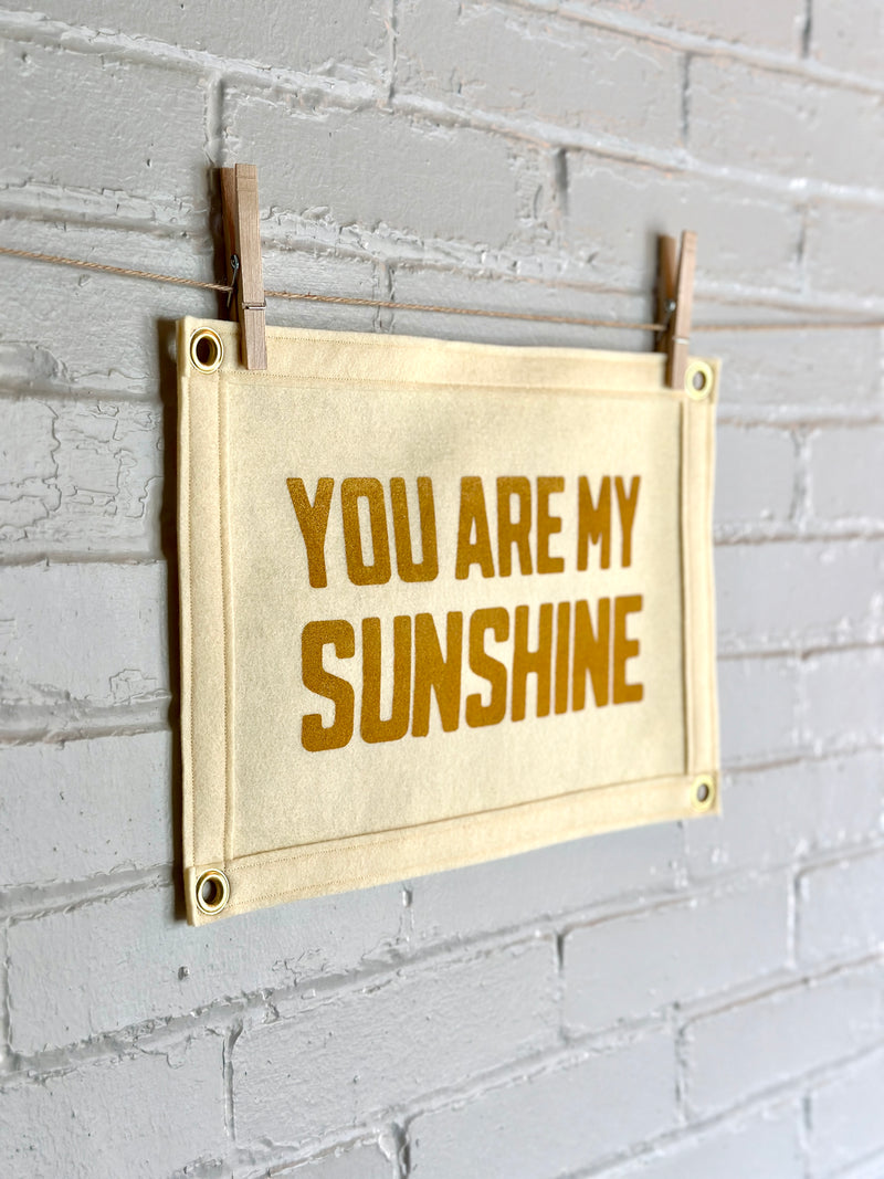 Felt banner with the words "You are my sunshine" printed in goldenrod yellow ink