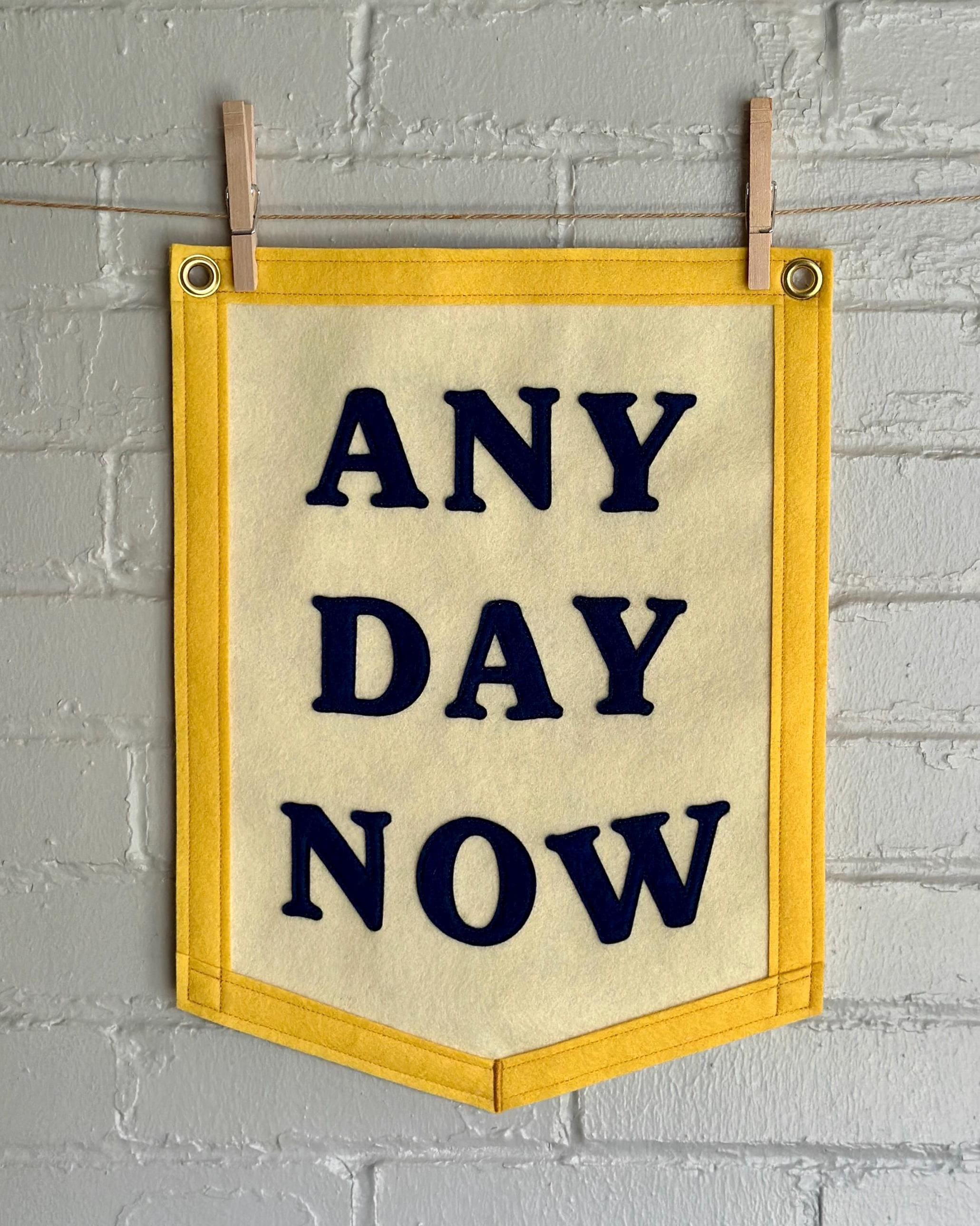 Any Day Now - Handmade Felt Appliqué Banner